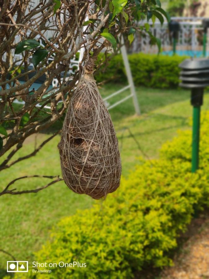 New Hemanjali Resort Bolpur Kültér fotó